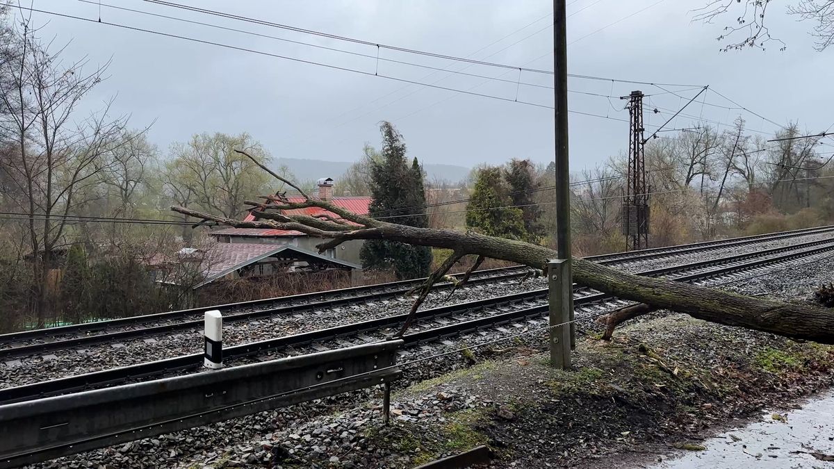Vlak narazil u Prahy do spadlého stromu